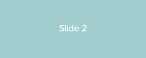 Slide2