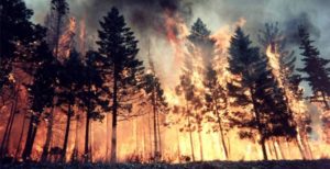 10 facts about natural disasters banner